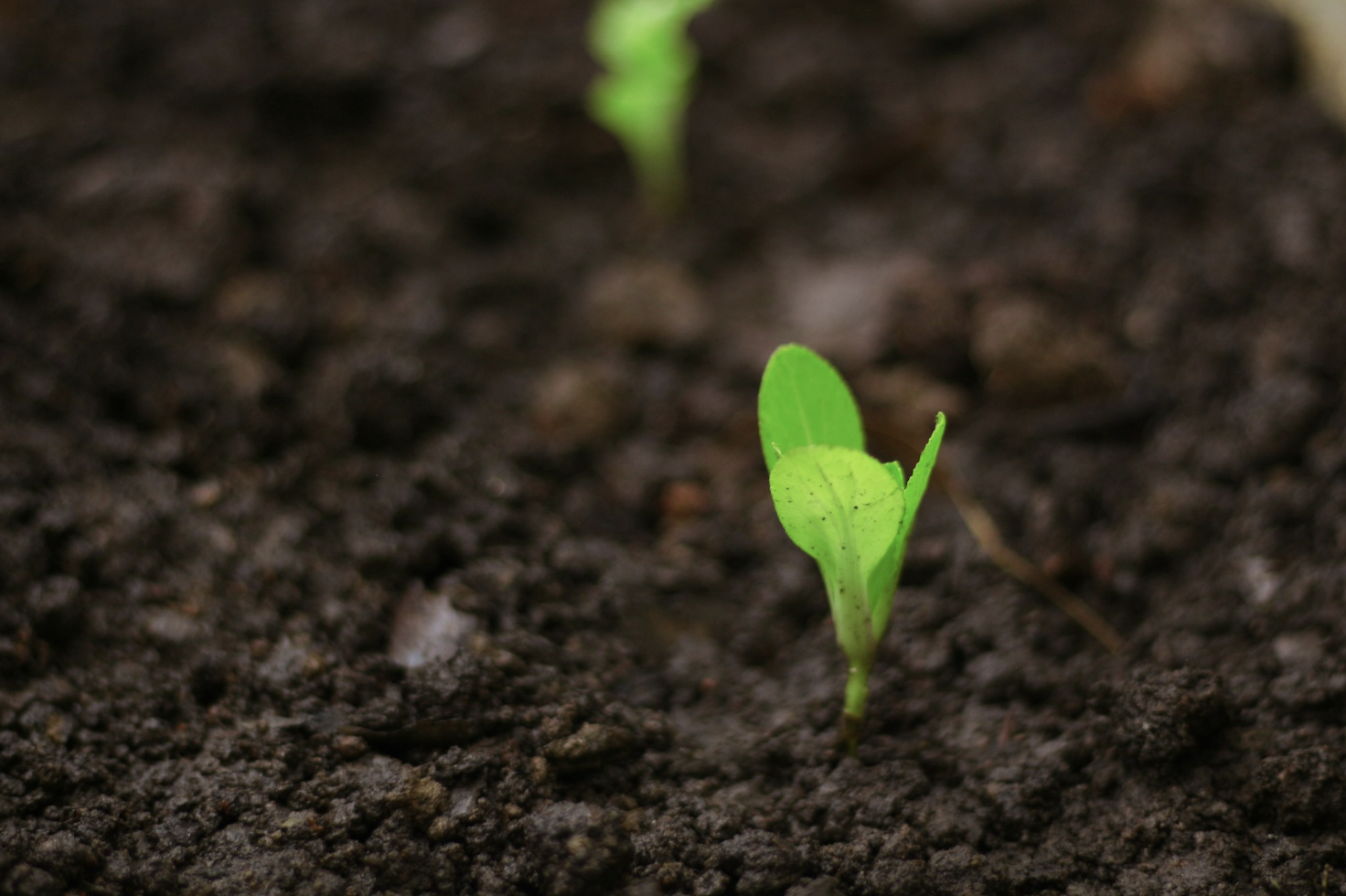 Private Markets Growth